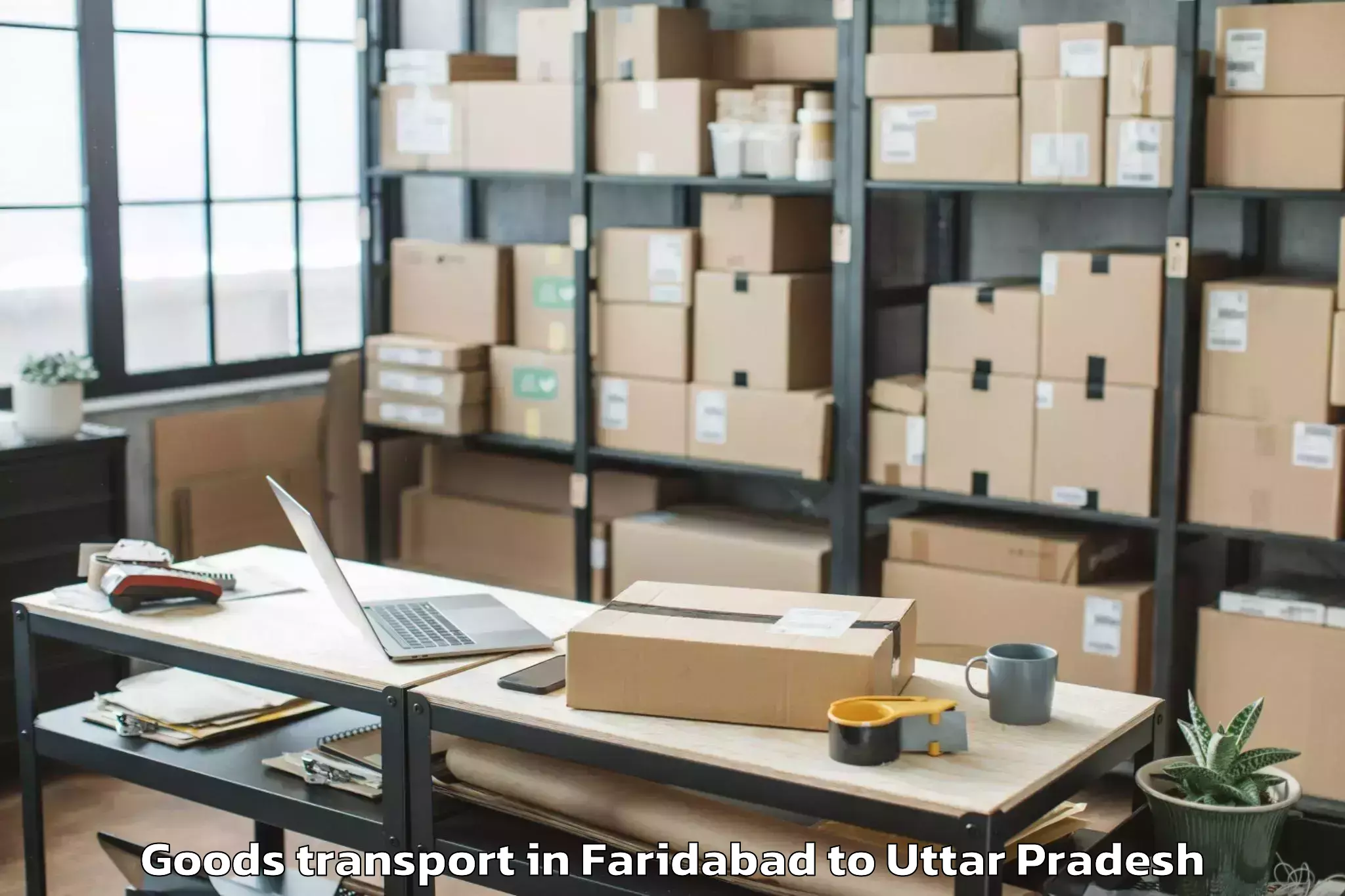 Quality Faridabad to Ganj Muradabad Goods Transport